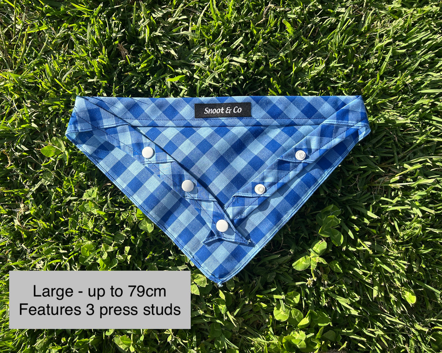 Blue Gingham Bandana