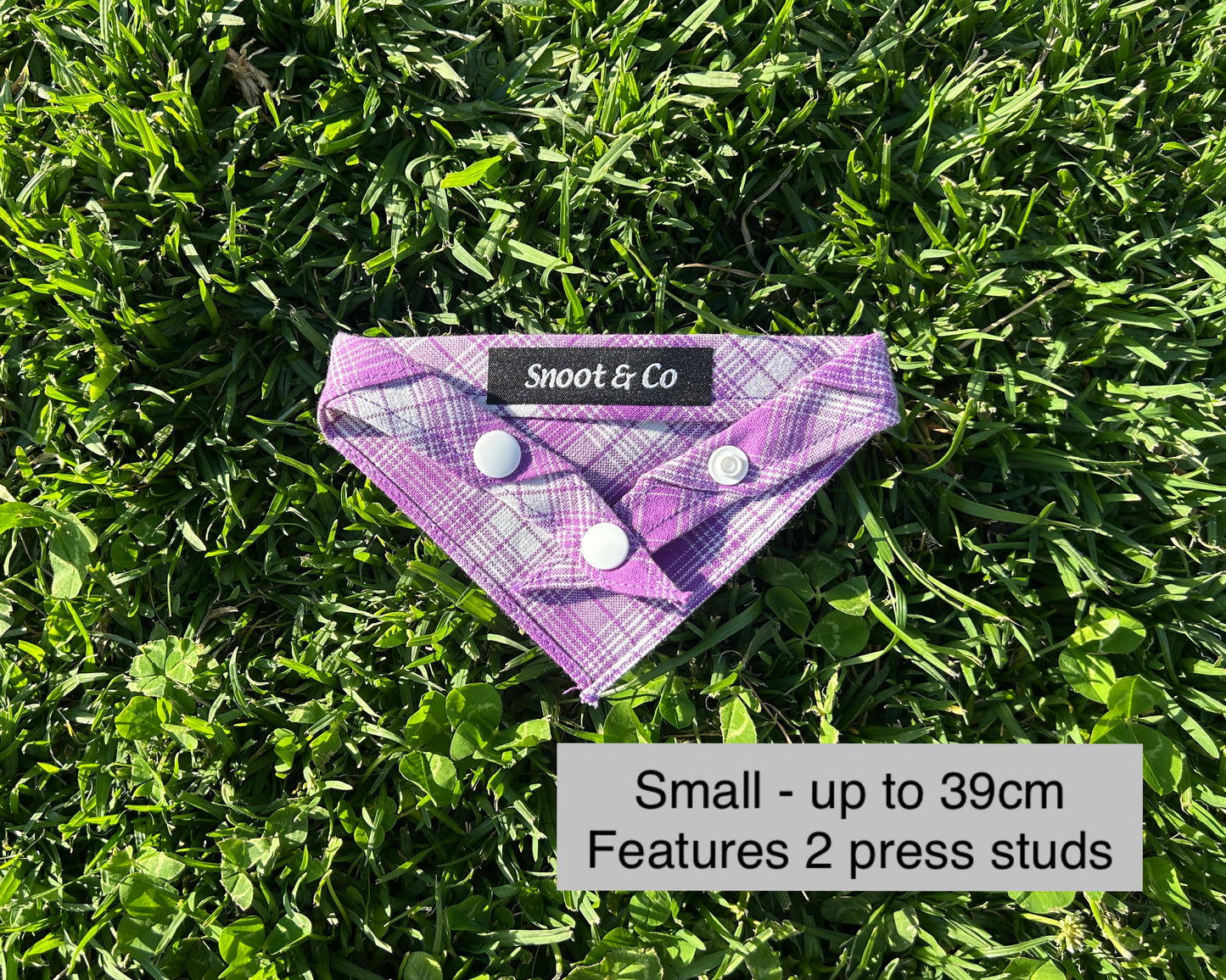 Purple Check Bandana