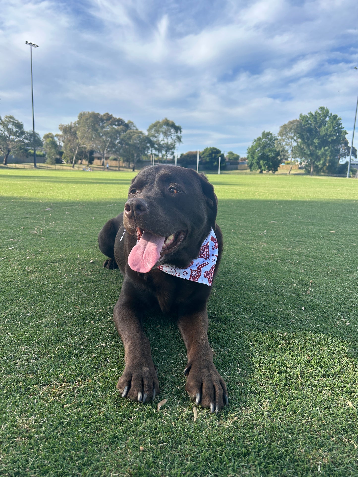 Red and White Christmas