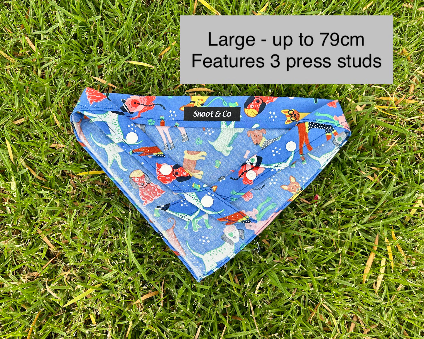 Dapper Dogs Bandana