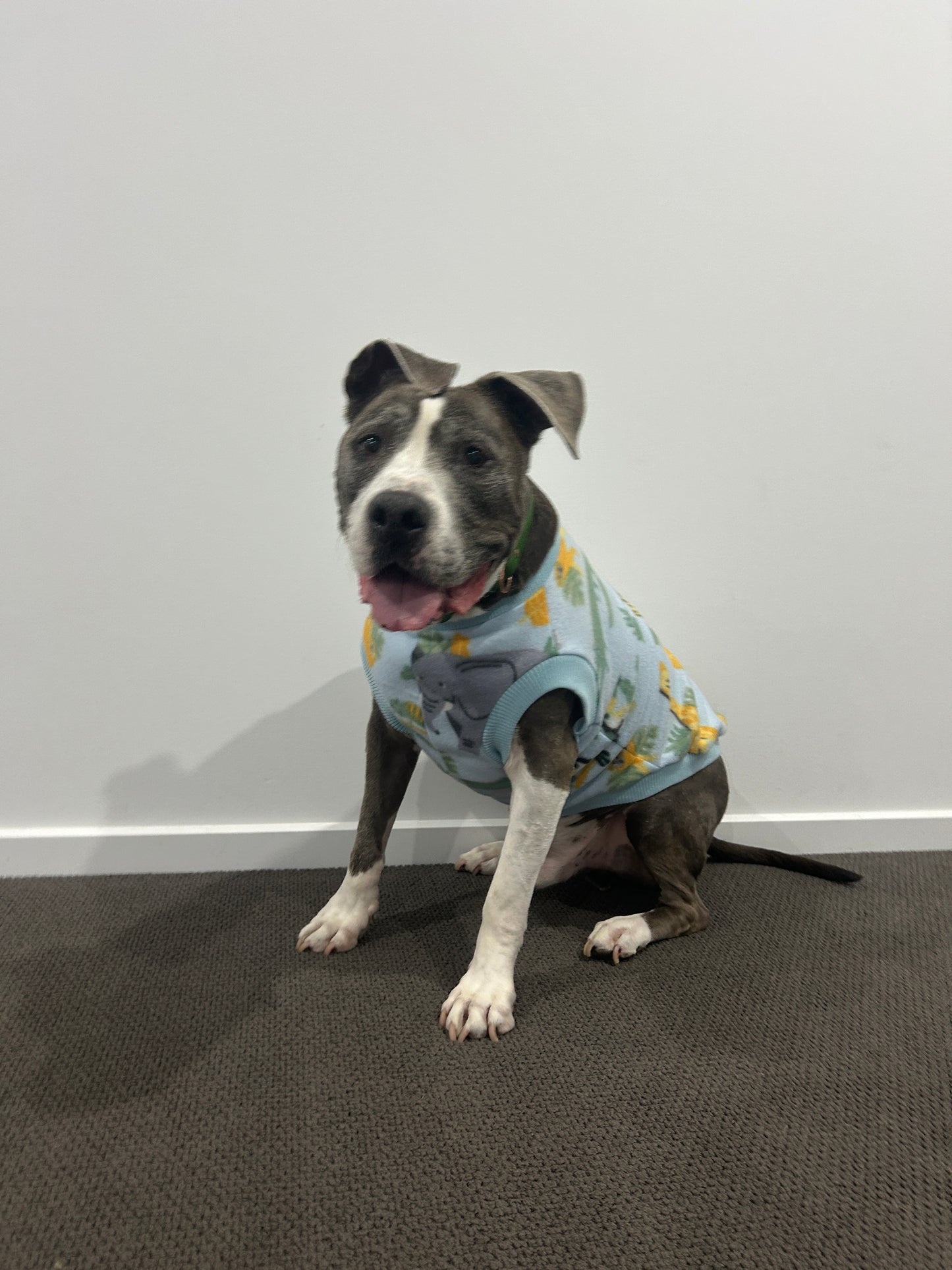 Blue Safari Jumper