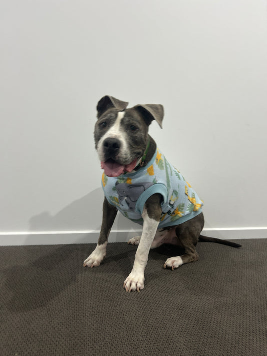 Blue Safari Jumper