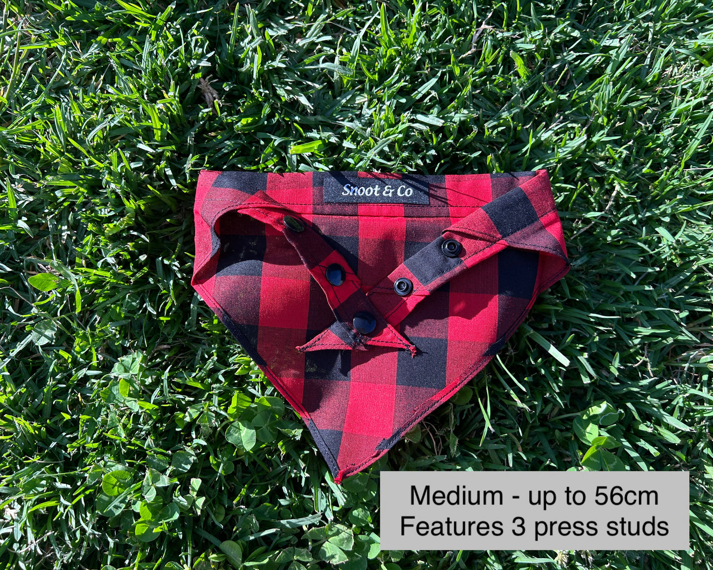 Red & Black Gingham Bandana