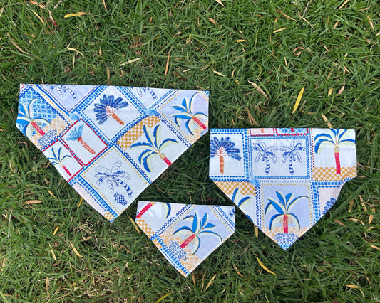 Palm Springs Bandana