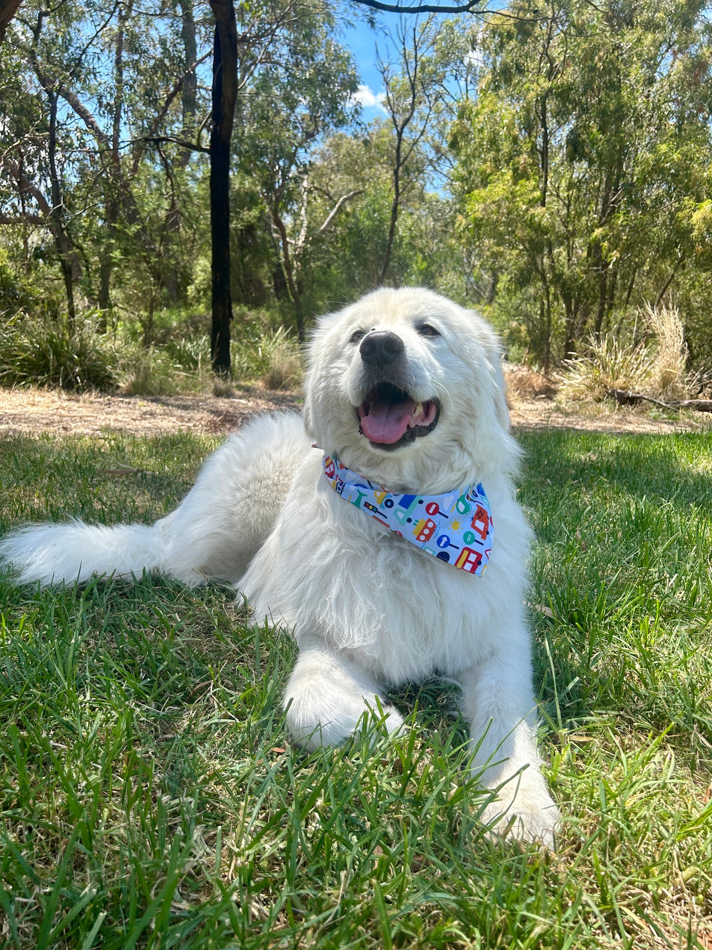 Traffic Bandana