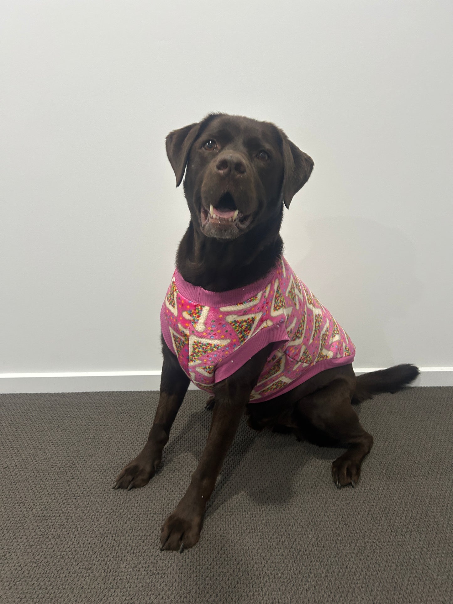 Fairy Bread Jumper - Fleece Lined