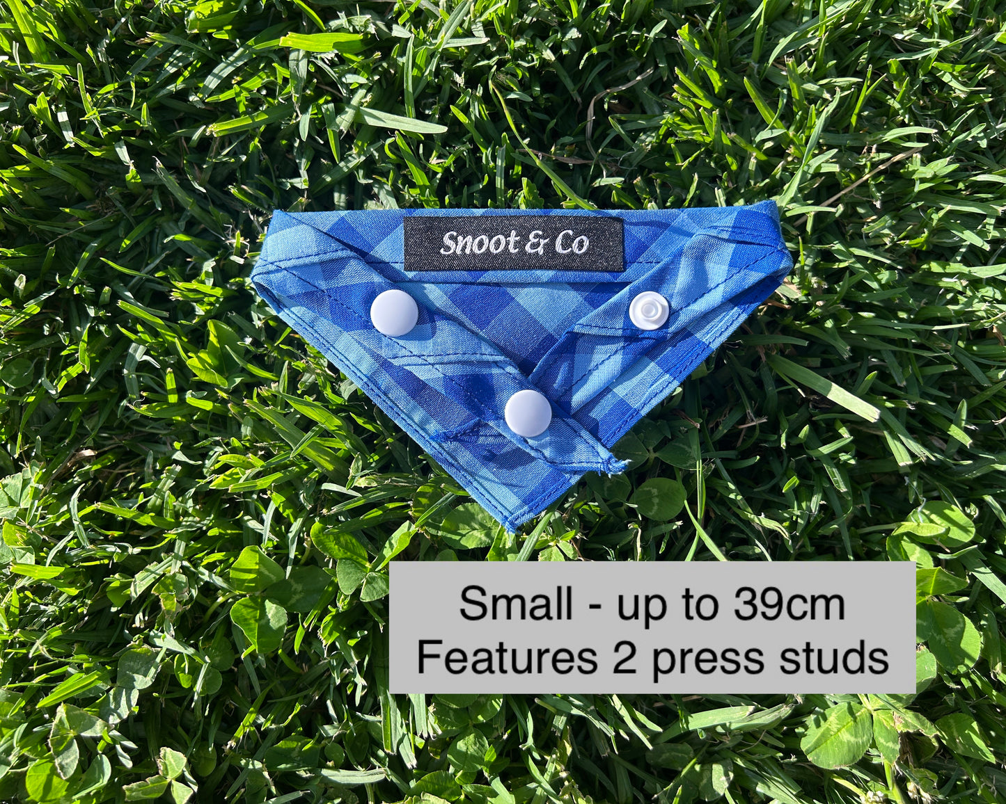 Blue Gingham Bandana