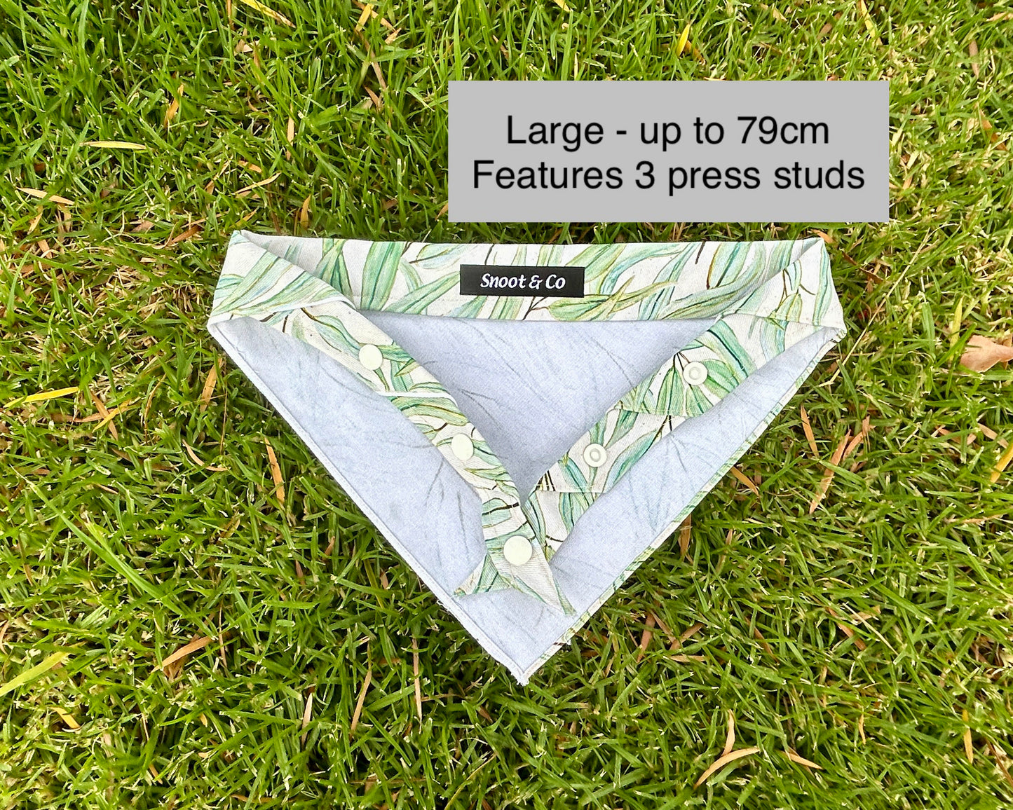 Eucalyptus Bandana