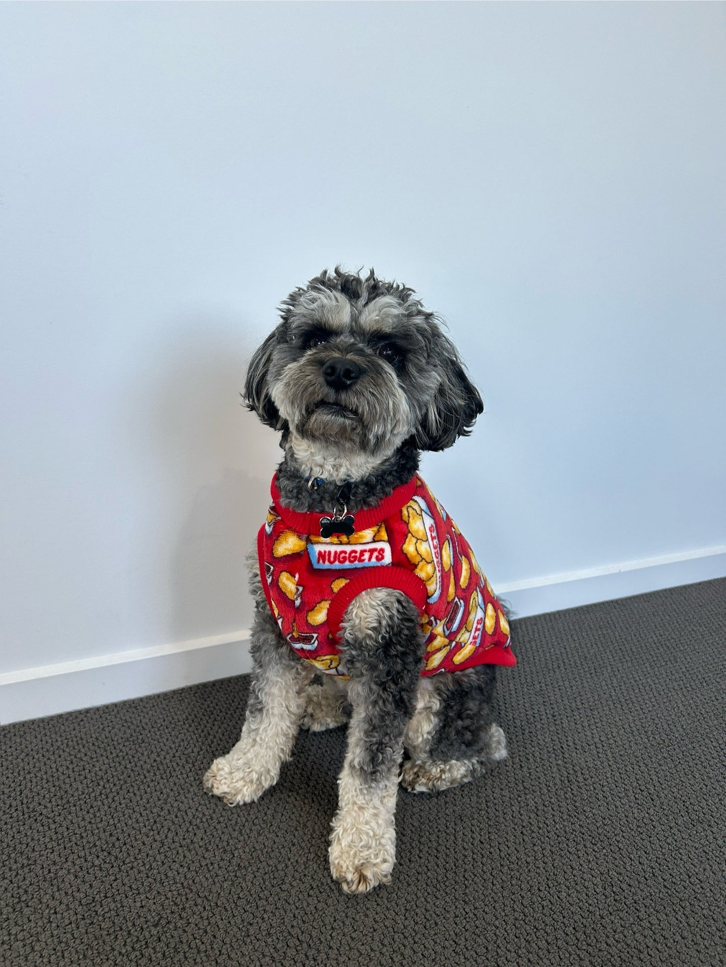 Nuggets Jumper - Fleece Lined