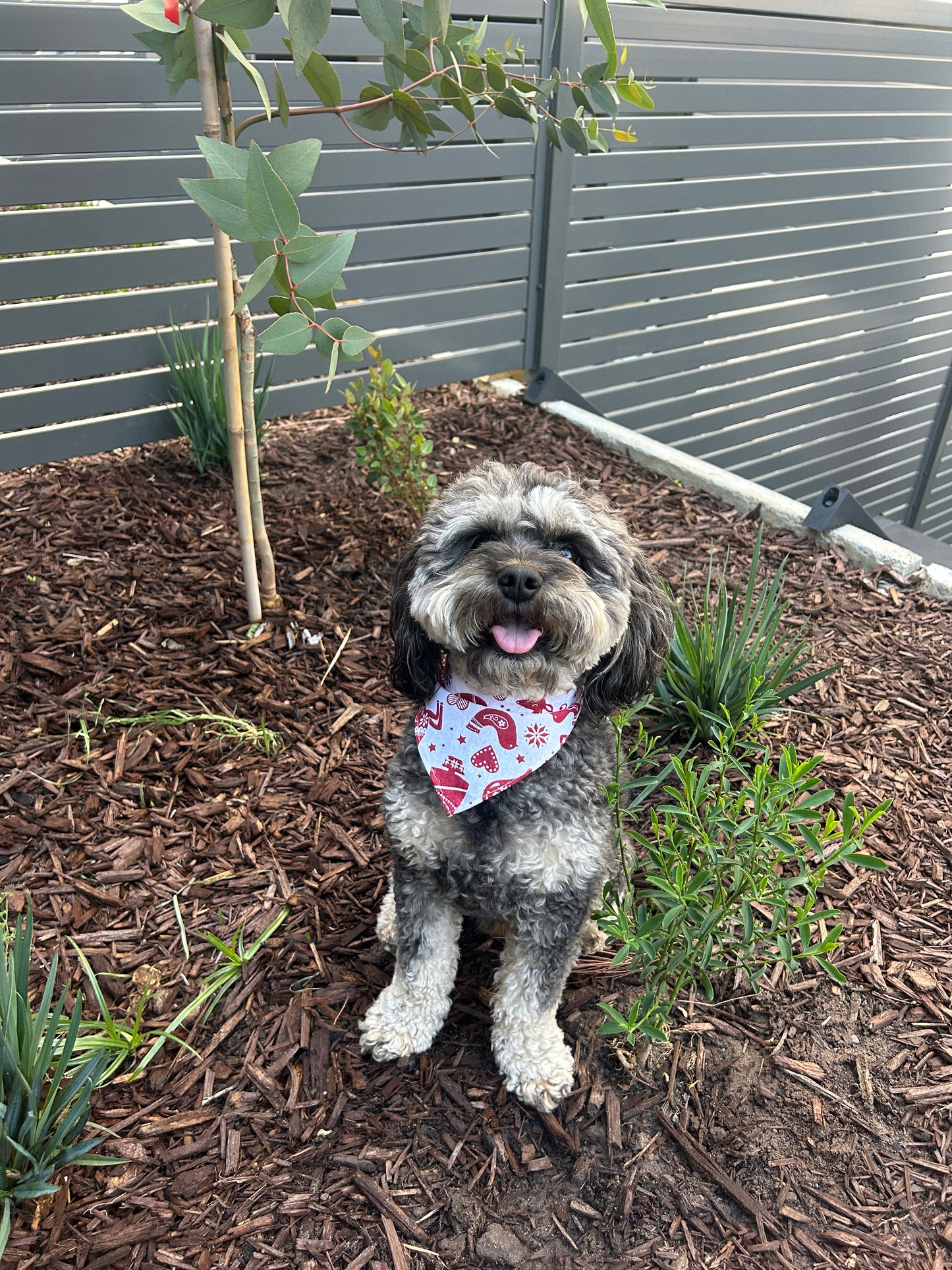 Red and White Christmas