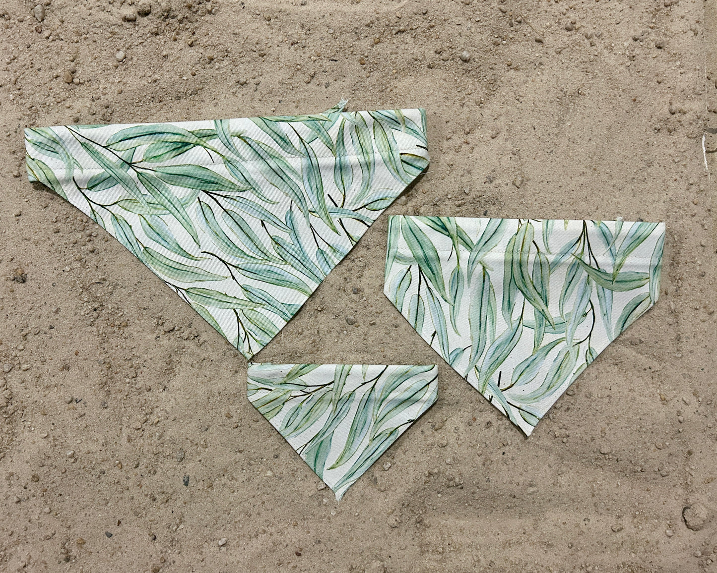 Eucalyptus Bandana