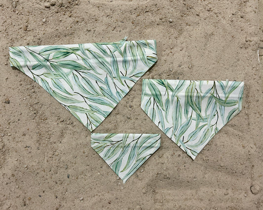 Eucalyptus Bandana