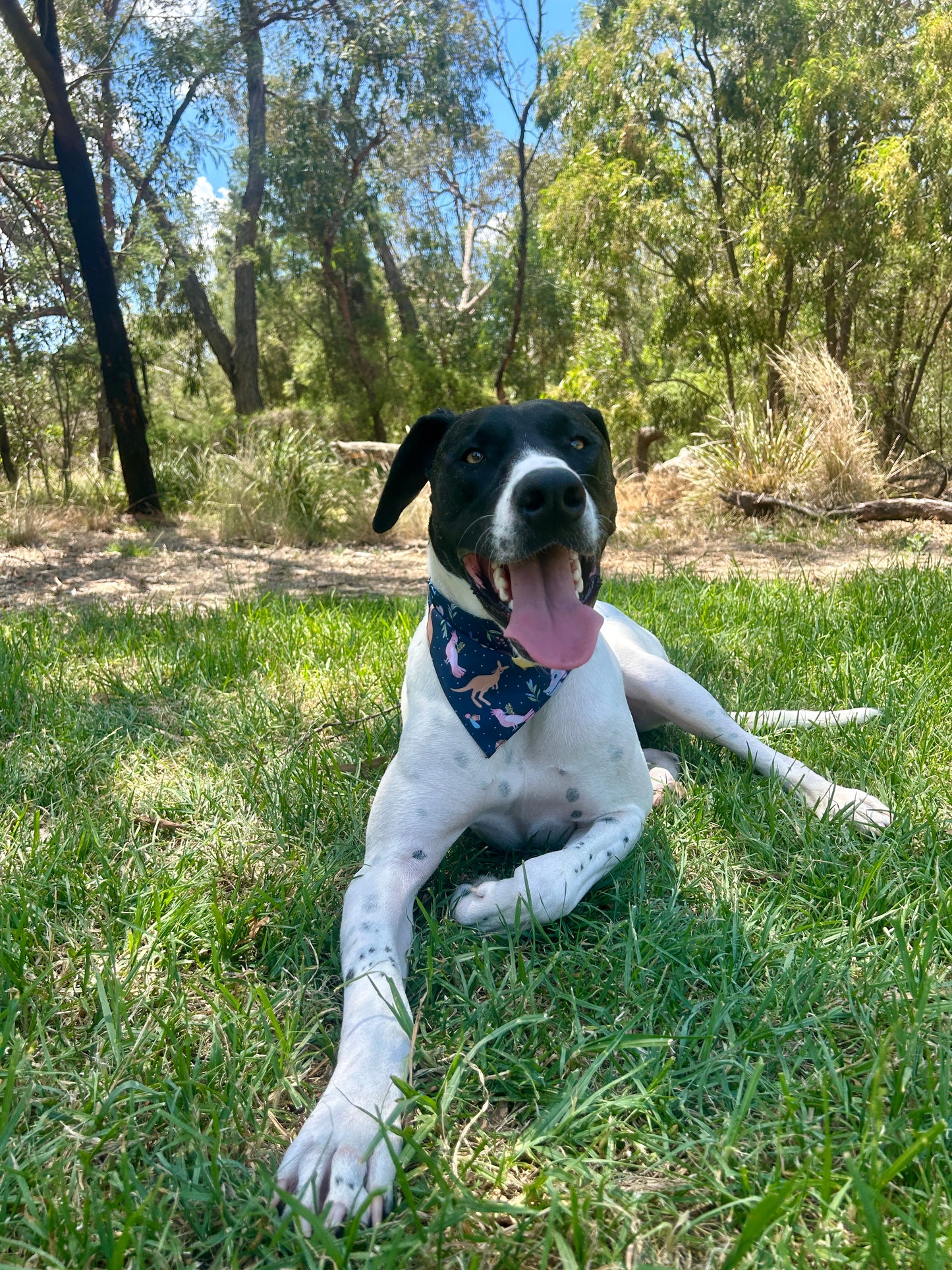 Australian Animals Bandana