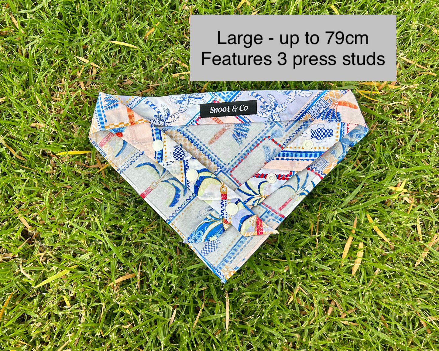 Palm Springs Bandana