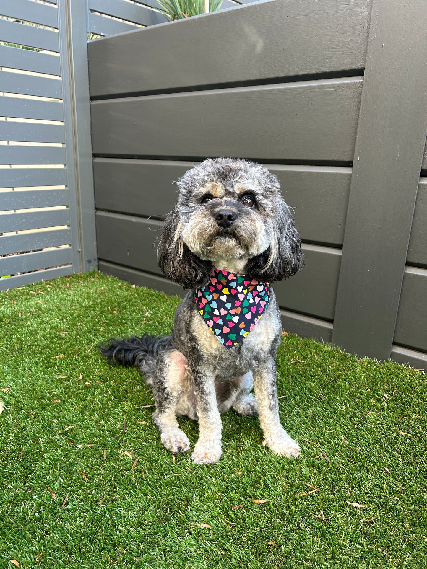 Multi Coloured Hearts Bandana