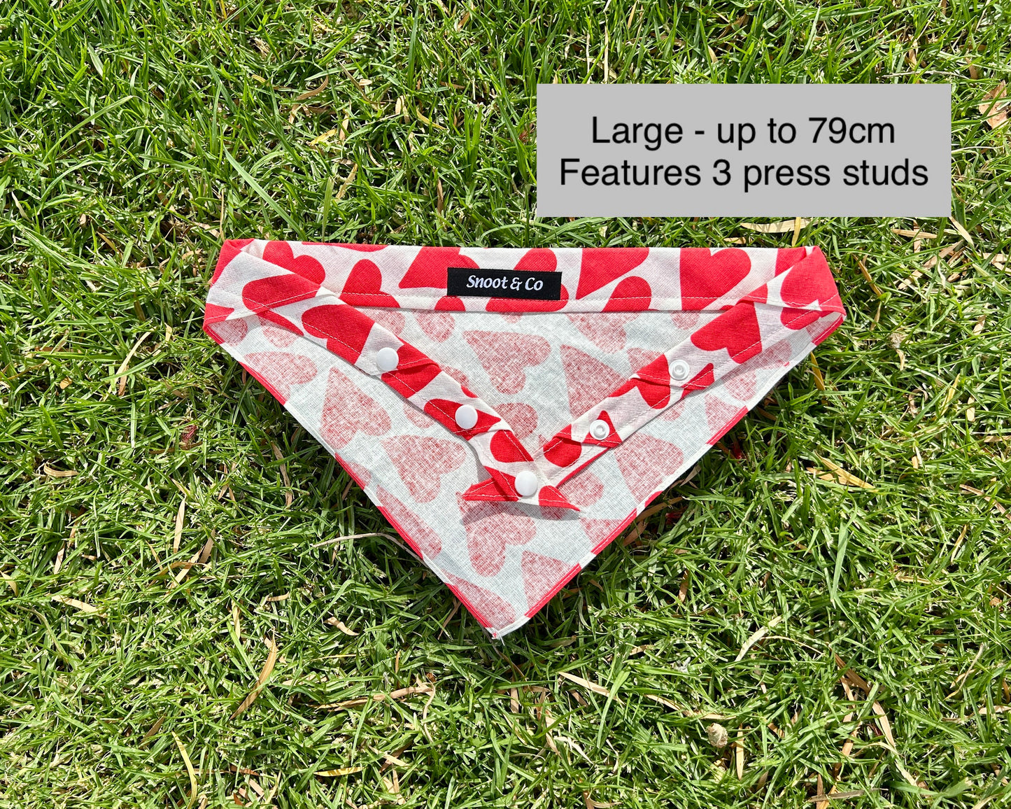Love Hearts Bandana