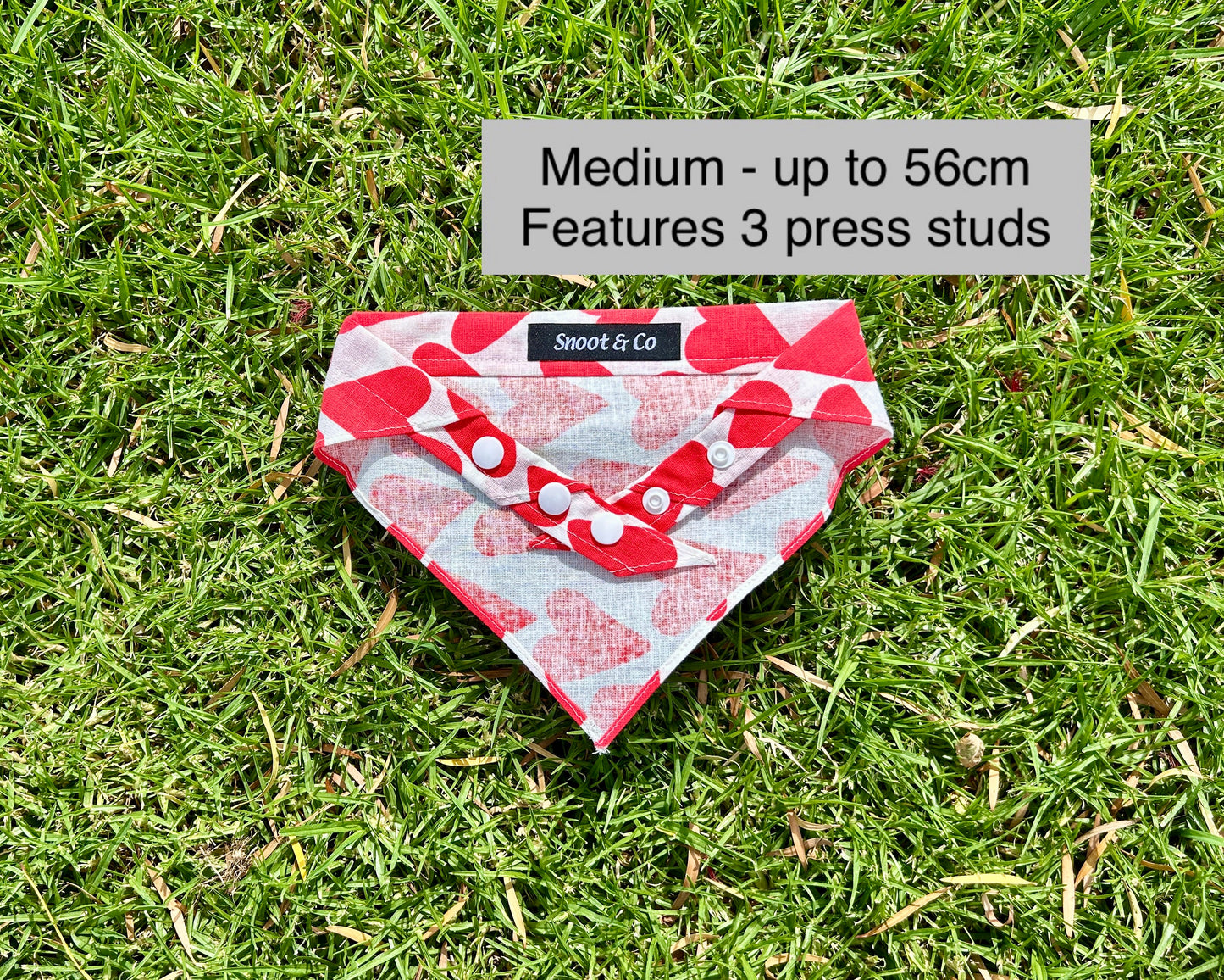 Love Hearts Bandana