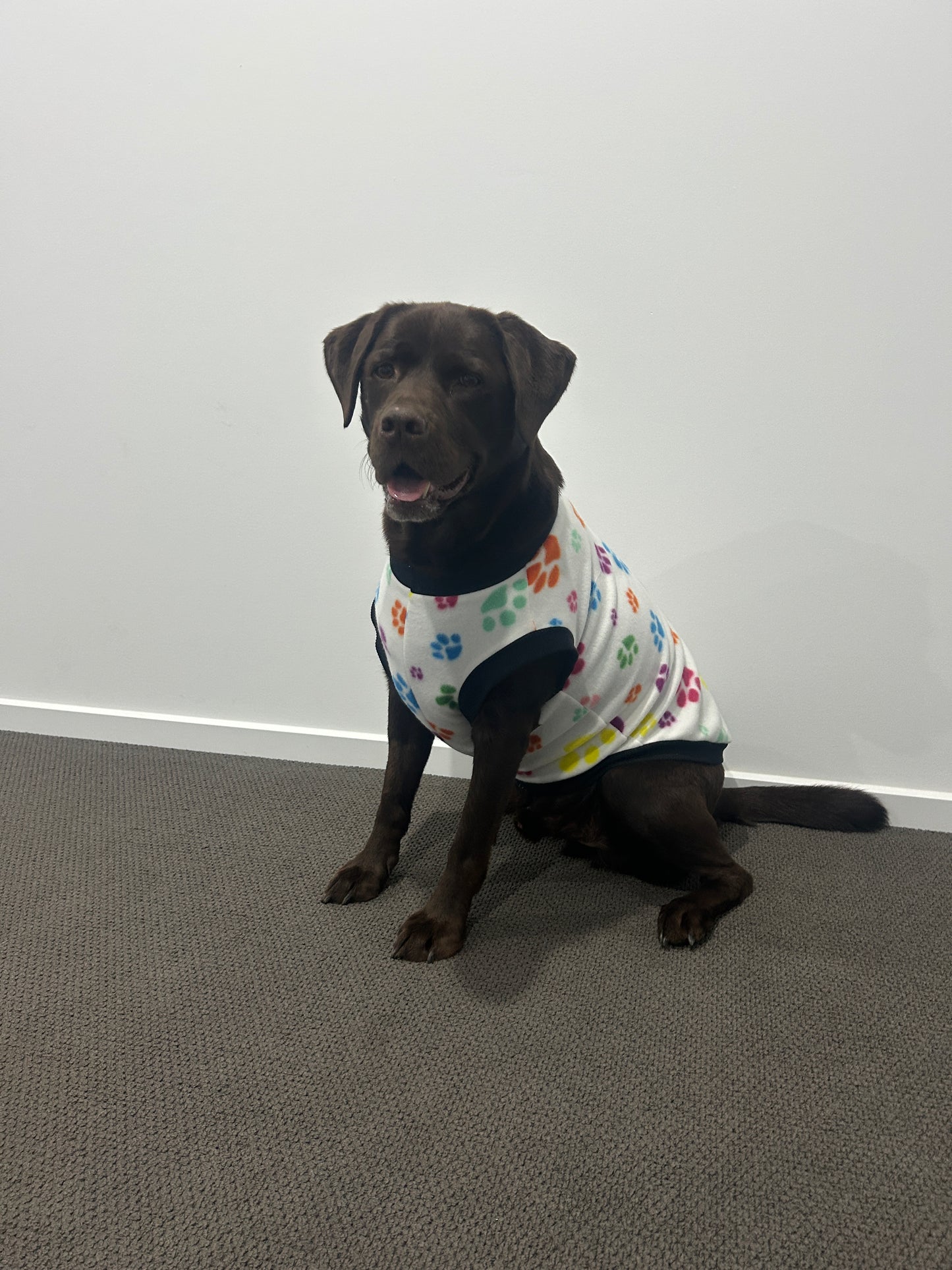 Multi Coloured Paw Print Jumper