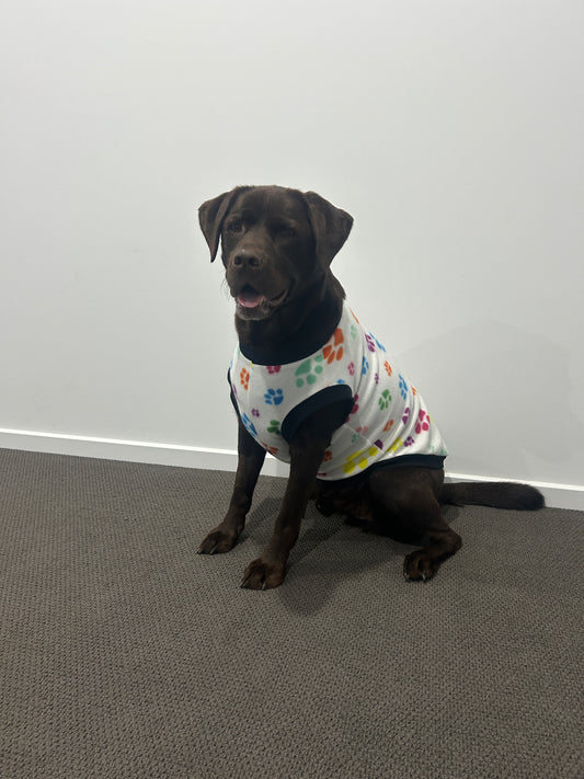 Multi Coloured Paw Print Jumper