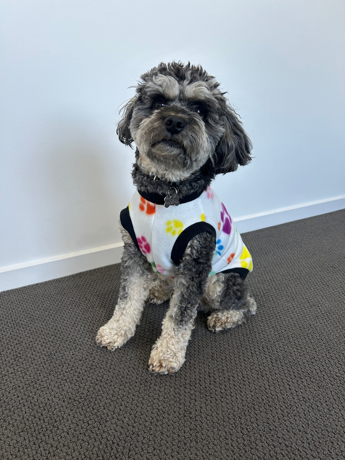 Multi Coloured Paw Print Jumper