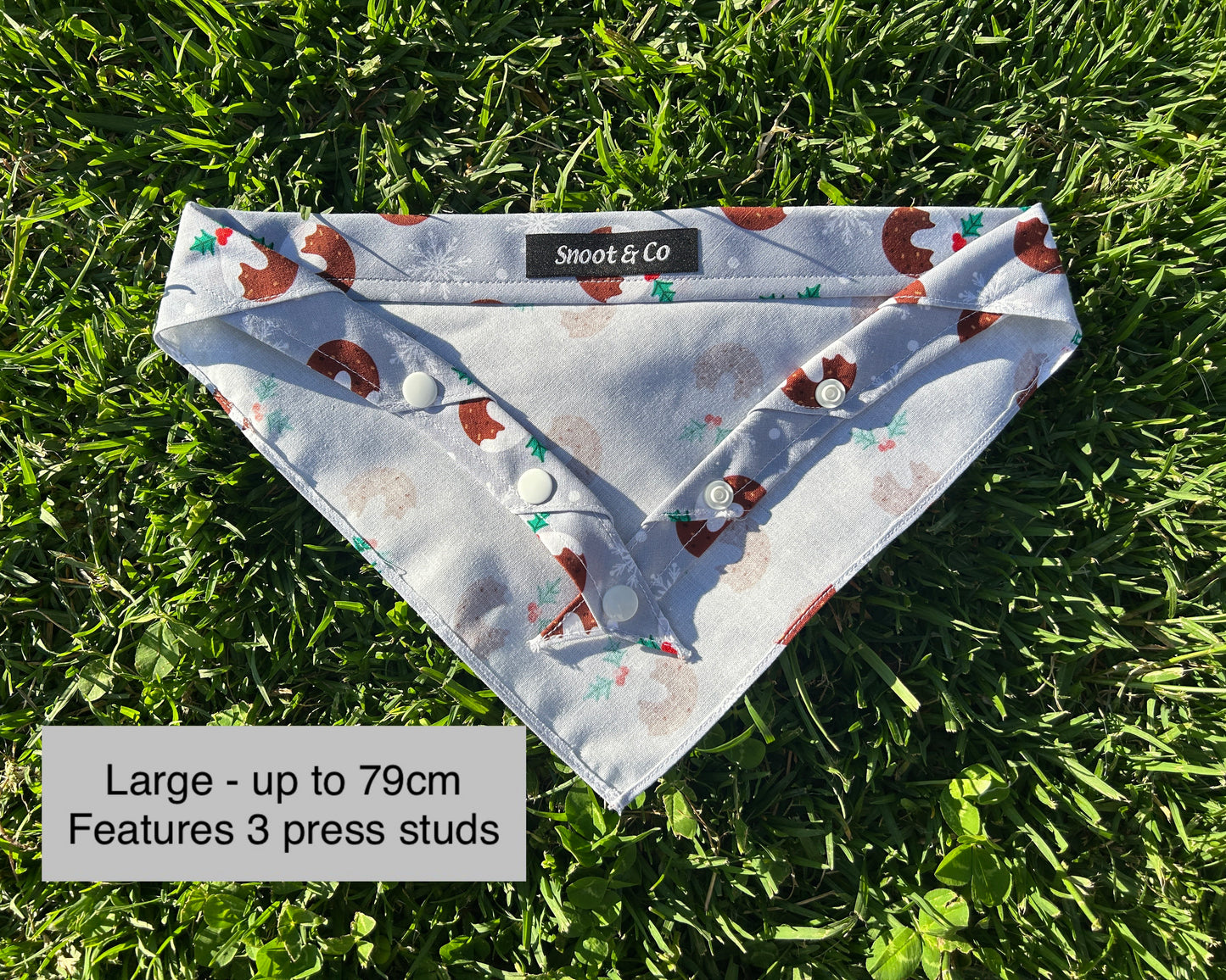 Plum Pudding Bandana