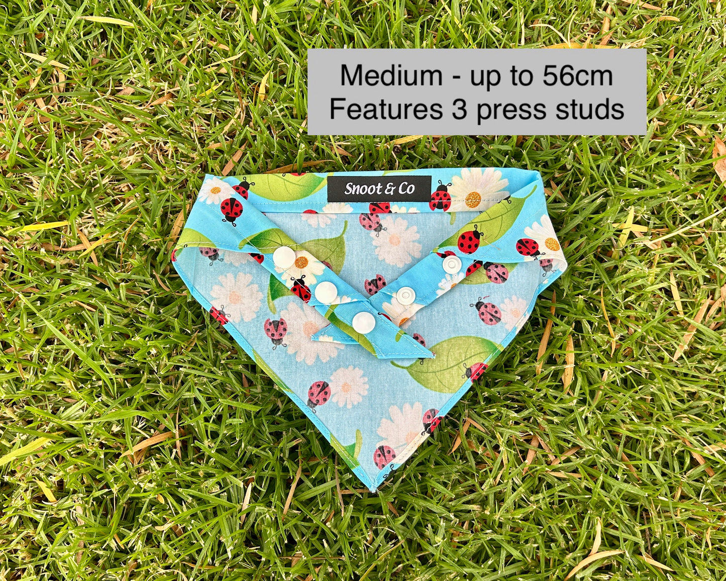 Ladybird Bandana