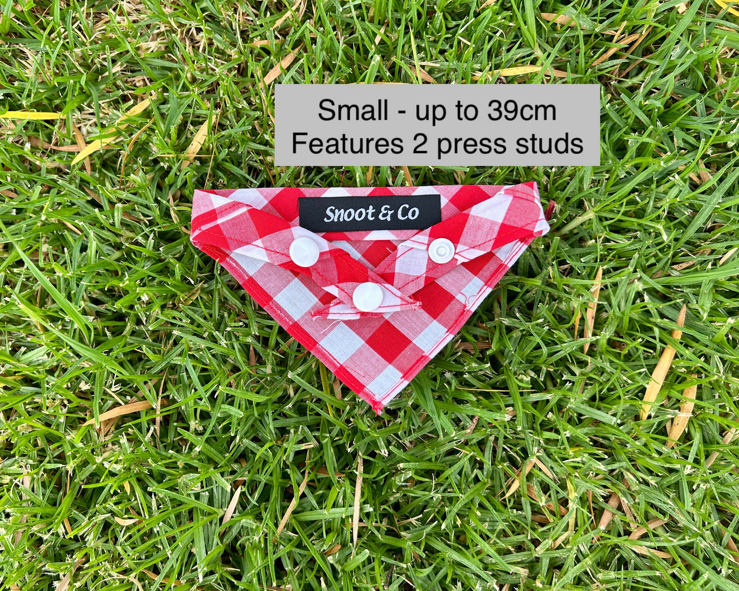 Red Gingham Bandana