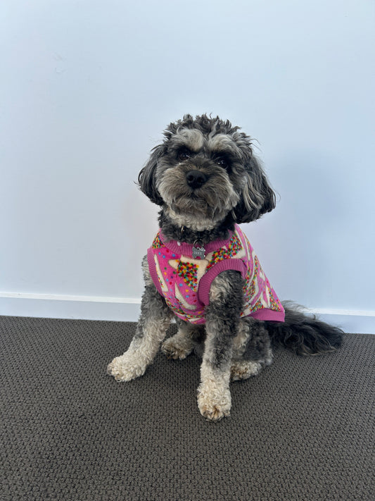 Fairy Bread Jumper - Fleece Lined