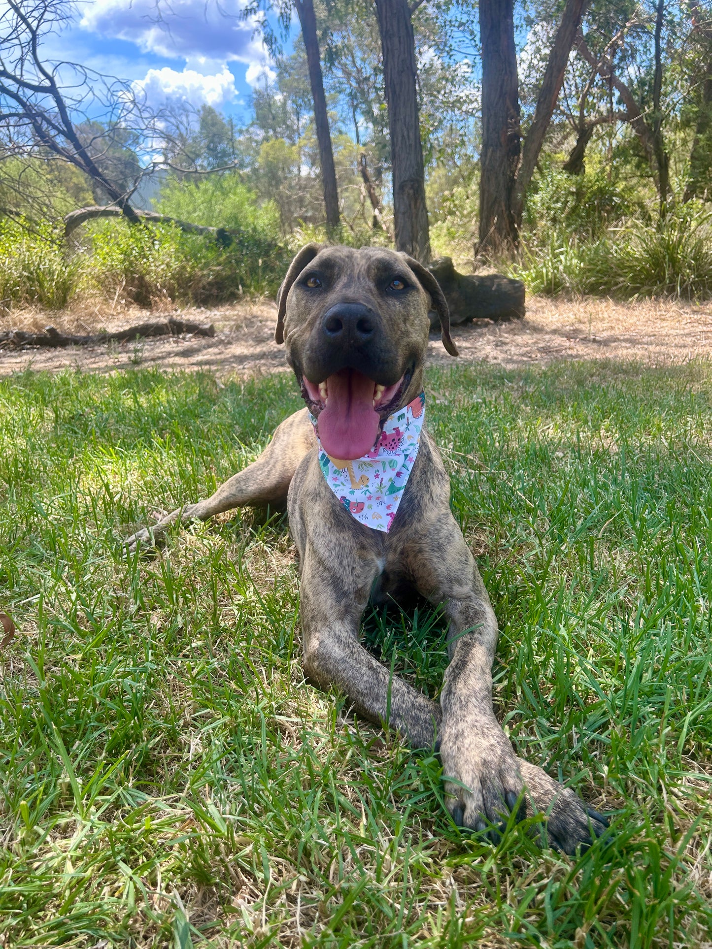 Colourful Dinosaur Bandana