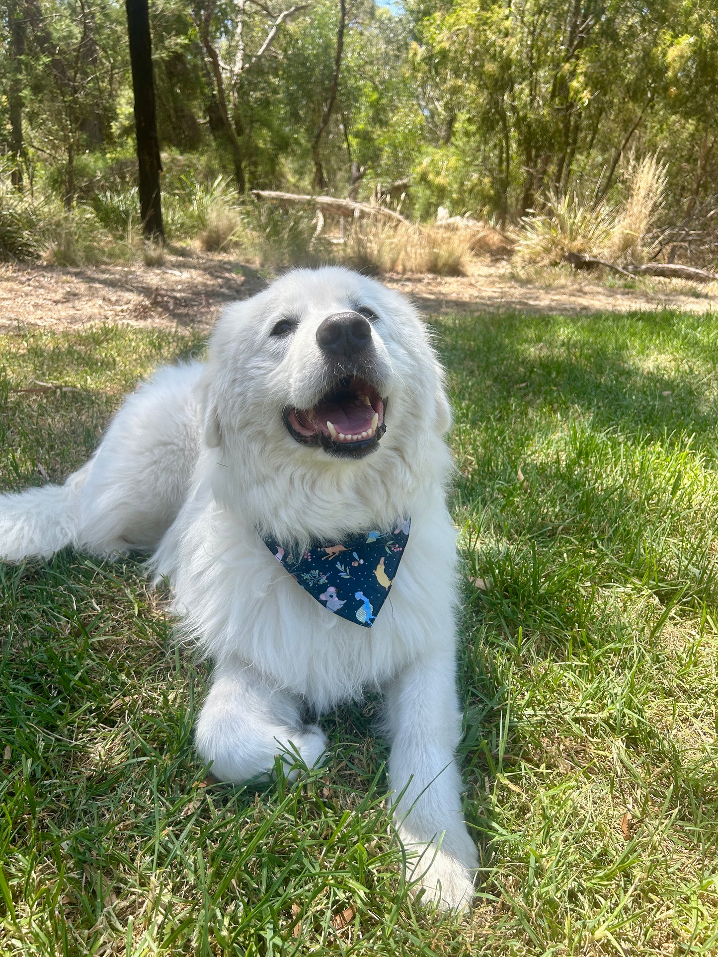 Australian Animals Bandana