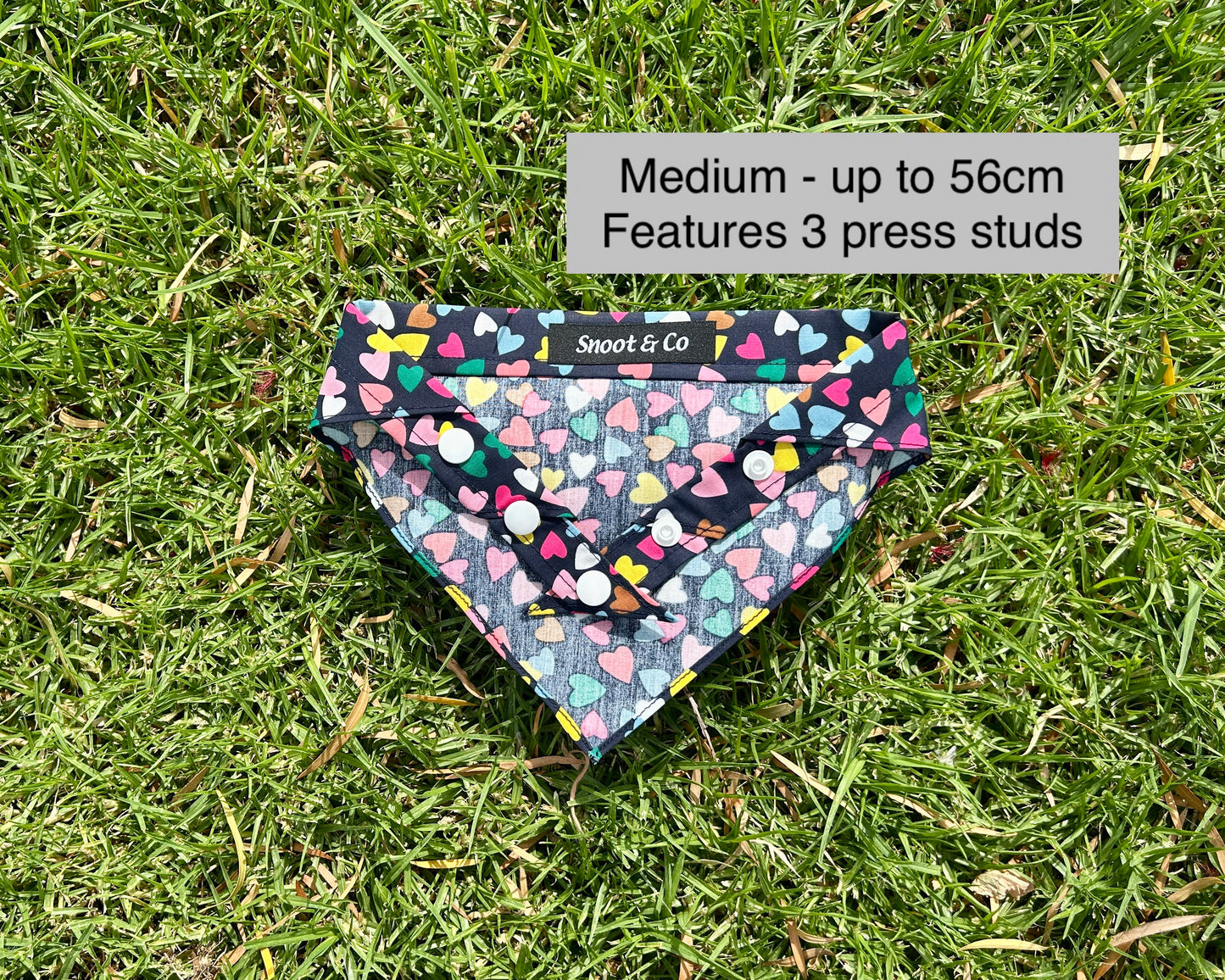 Multi Coloured Hearts Bandana