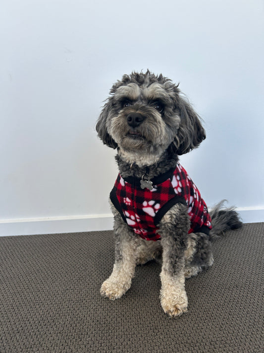 Red Paw Print Tartan Jumper