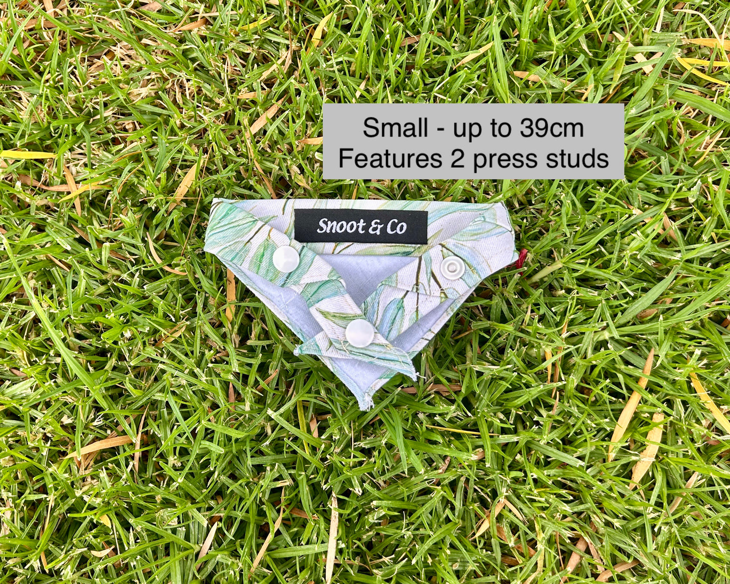 Eucalyptus Bandana