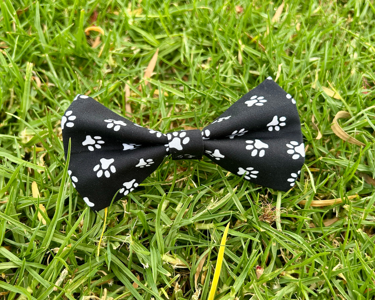 Classic Bow Tie