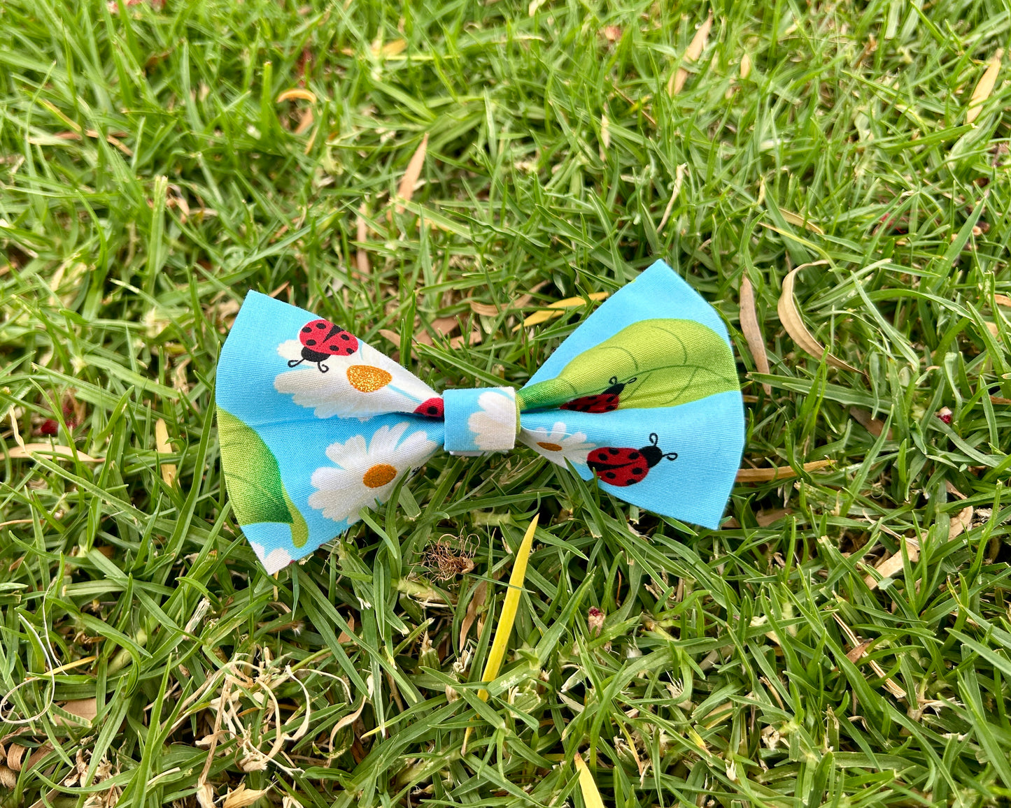 Summer Bow Ties