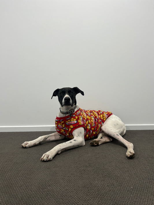 Nuggets Jumper - Fleece Lined